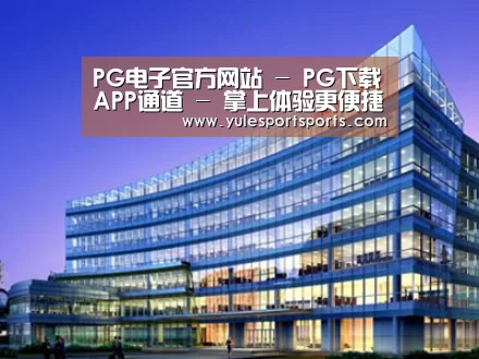 案例展示五