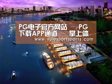 案例展示八