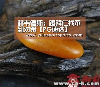 赫韦德斯:踢拜仁找不到对策【PG速达】(图1) PG赛事