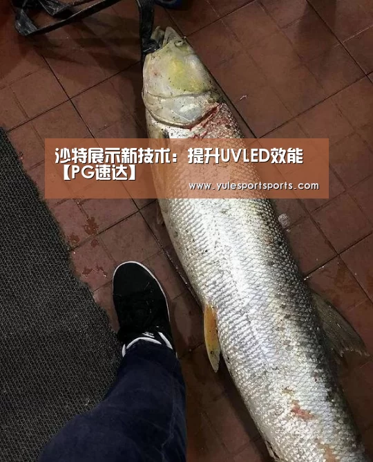 沙特展示新技术:提升UVLED效能【PG速达】(图2) PG赛事