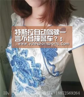 特斯拉自动驾驶一言不合撞警车?:PG速达(图1) PG首页