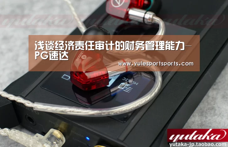 浅谈经济责任审计的财务管理能力-PG速达(图2) PG娱乐