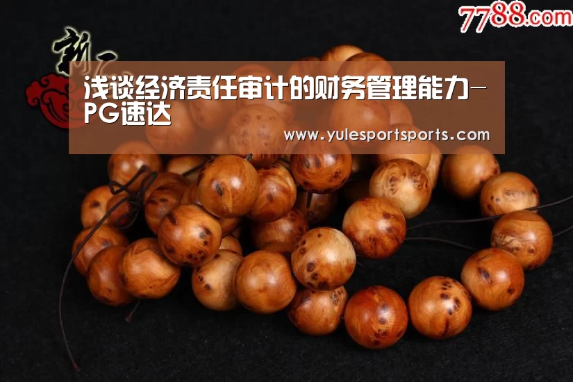 浅谈经济责任审计的财务管理能力-PG速达(图1) PG首页