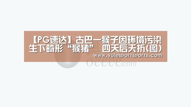 【PG速达】古巴一猴子因环境污染生下畸形“猴猪” 四天后夭折(图)(图4) PG赛事