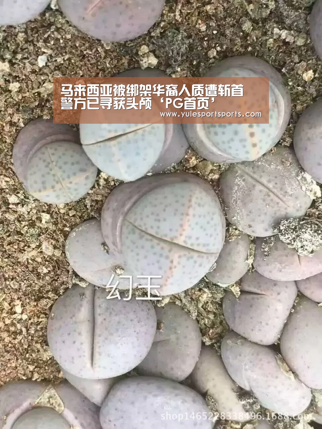 马来西亚被绑架华裔人质遭斩首 警方已寻获头颅‘PG首页’(图2) PG娱乐