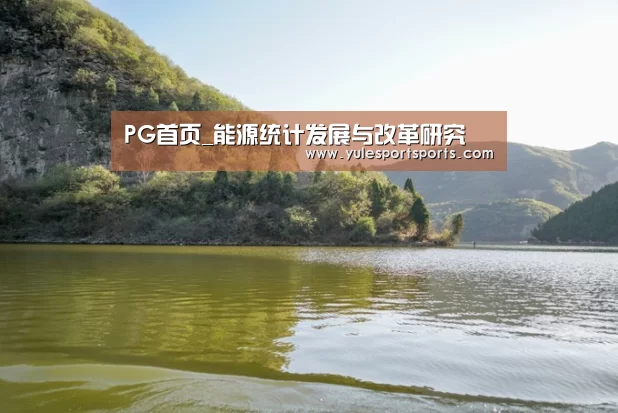 PG首页_能源统计发展与改革研究(图4) PG赛事