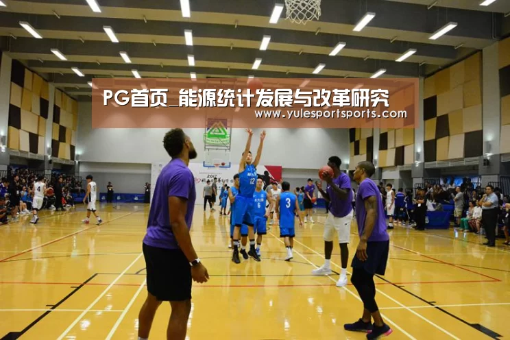 PG首页_能源统计发展与改革研究(图2) PG首页