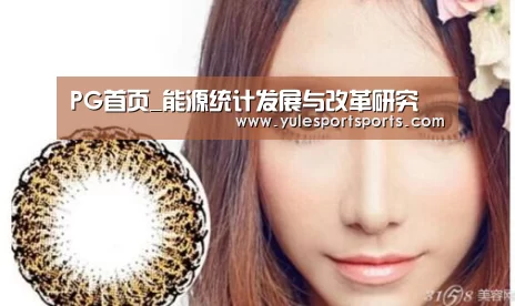 PG首页_能源统计发展与改革研究(图1) PG速达
