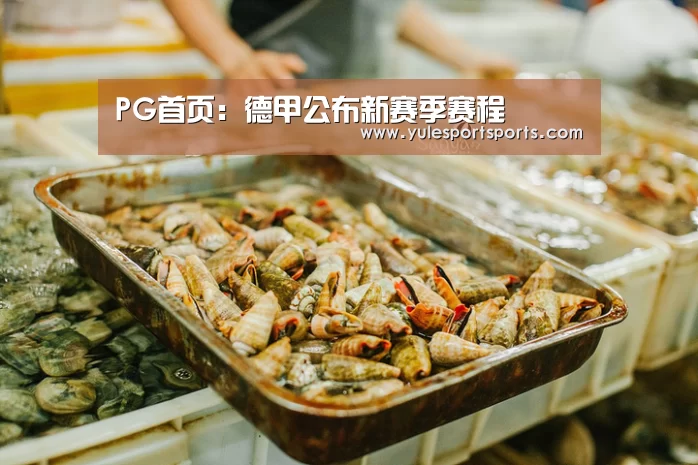 PG首页:德甲公布新赛季赛程(图1) PG速达