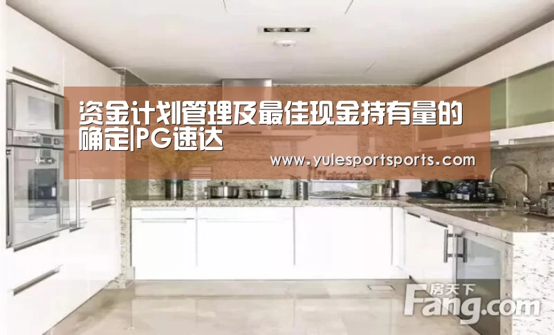资金计划管理及最佳现金持有量的确定|PG速达(图3) PG首页