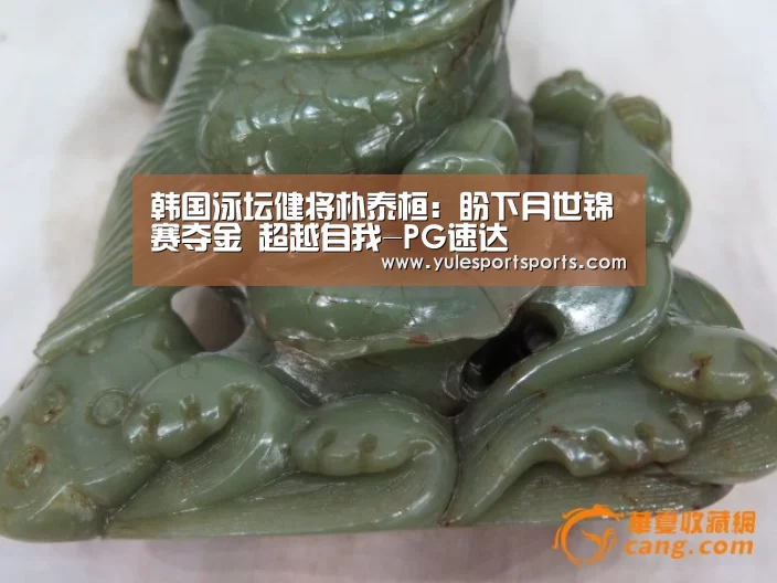 韩国泳坛健将朴泰桓:盼下月世锦赛夺金 超越自我-PG速达(图2) PG速达