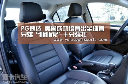 PG娱乐