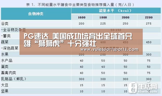 PG娱乐