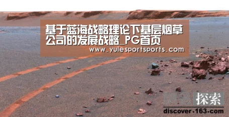 基于蓝海战略理论下基层烟草公司的发展战略_PG首页(图1) PG速达