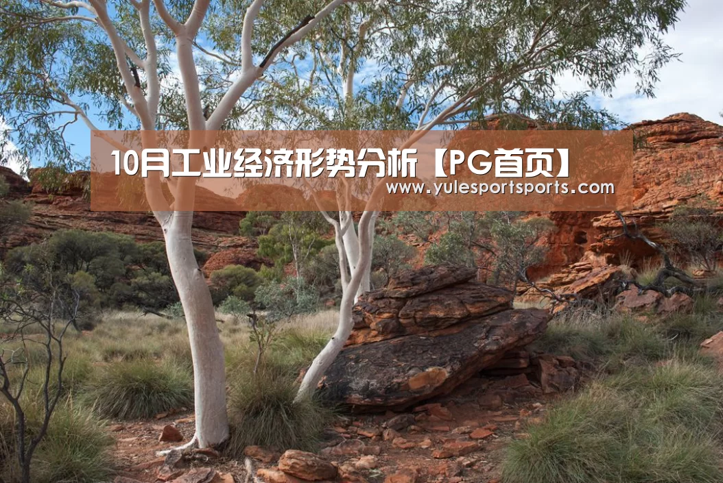 10月工业经济形势分析【PG首页】(图3) PG首页