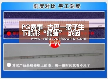 PG赛事-古巴一猴子生下畸形“猴猪” 或因环境污染(图)(图1) PG赛事