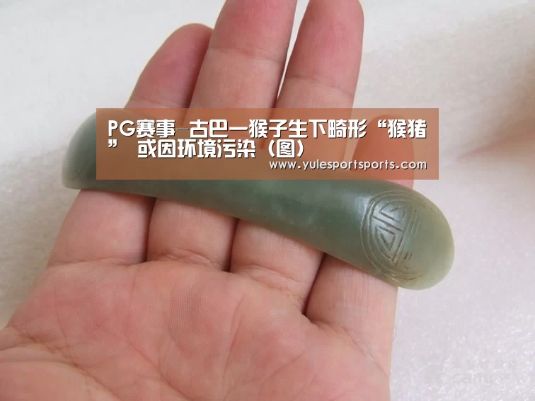 PG赛事-古巴一猴子生下畸形“猴猪” 或因环境污染(图)(图2) PG娱乐