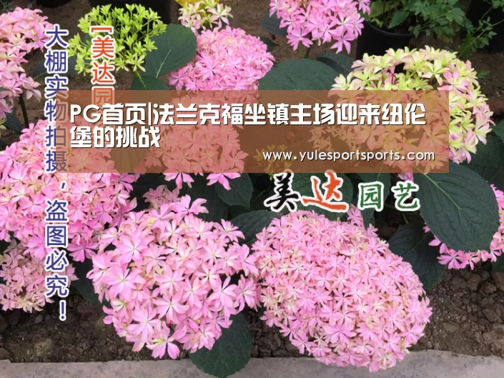 PG首页|法兰克福坐镇主场迎来纽伦堡的挑战(图1) PG赛事