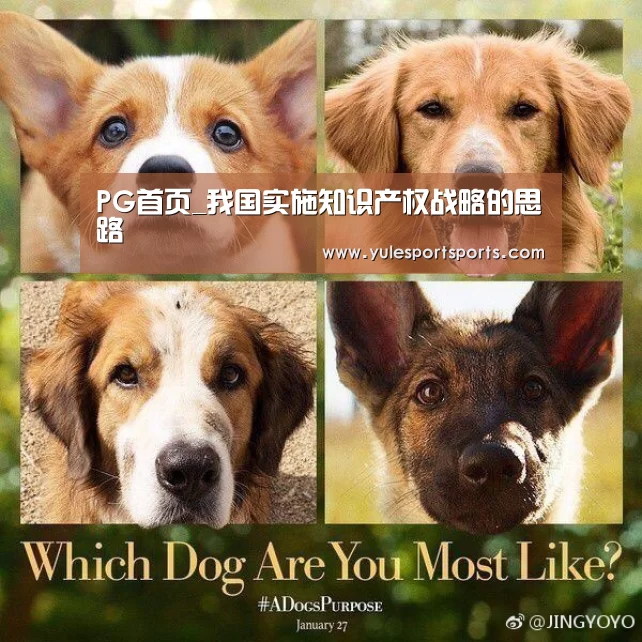 PG首页_我国实施知识产权战略的思路(图2) PG娱乐