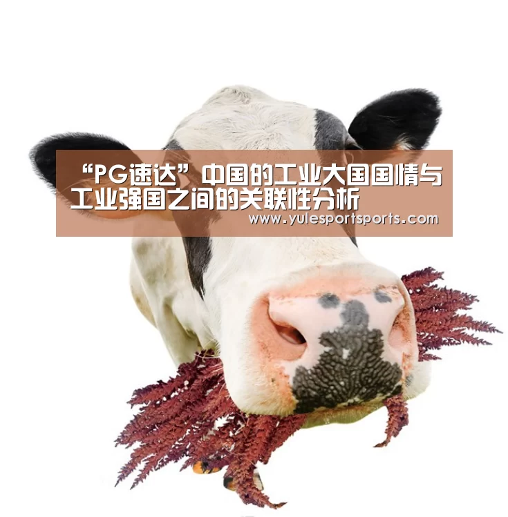 PG娱乐